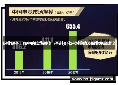 职业联赛工作中的降薪调整与赛制变化应对策略及职业发展建议