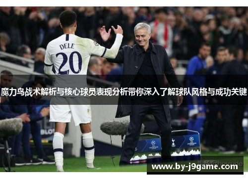 魔力鸟战术解析与核心球员表现分析带你深入了解球队风格与成功关键
