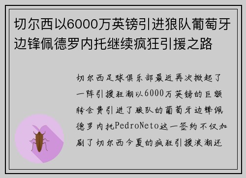 切尔西以6000万英镑引进狼队葡萄牙边锋佩德罗内托继续疯狂引援之路